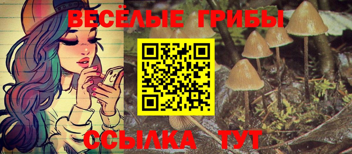 Псилоцибиновые грибы Magic Shrooms  Вход с VPN  Галлюциногенные грибы Psilocybe  Малоярославец 